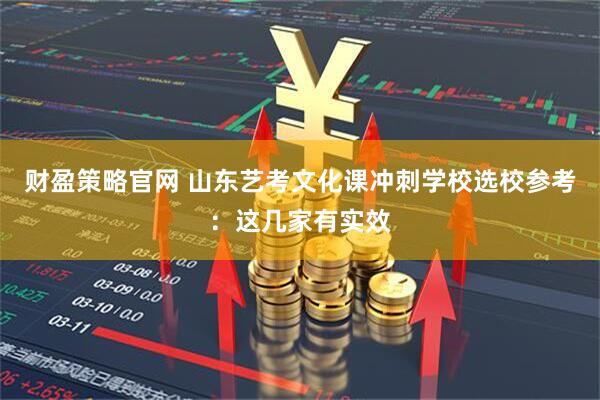 财盈策略官网 山东艺考文化课冲刺学校选校参考:这几家有实效
