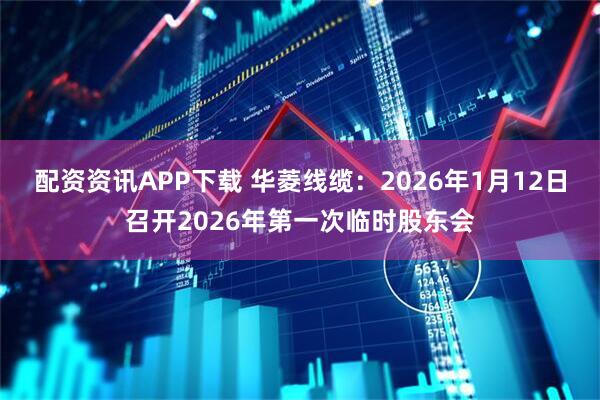配资资讯APP下载 华菱线缆：2026年1月12日召开2026年第一次临时股东会